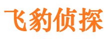 北塔寻人公司